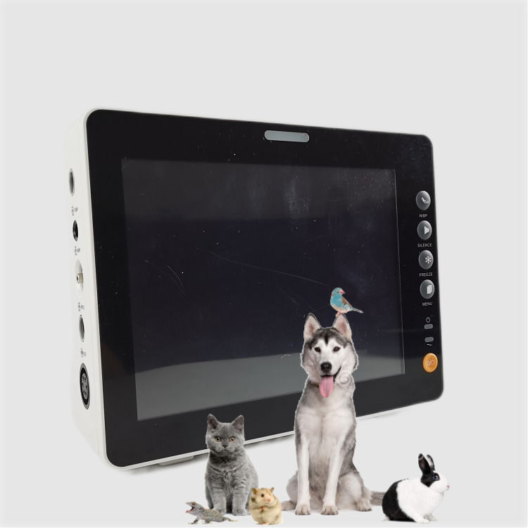 Monitor de sinais vitais de 8 polegadas durável Cão gato ovelha excelente qualidade monitor de sinais vitais