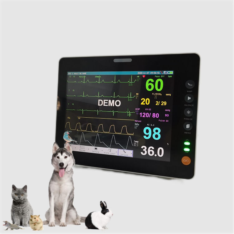8 polegadas de sinais vitais monitor durável mini tamanho TFT Display veterinário monitor de animais portáteis