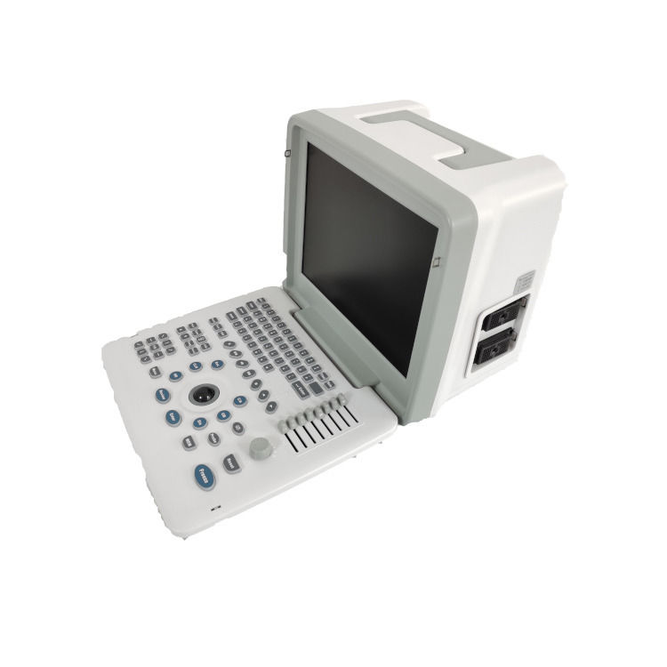 Metal Ver Laptop B W Portátil Gravidez Doppler Probe Scanner Rádio Feto Máquina de Ultrassonografia Para Bebê