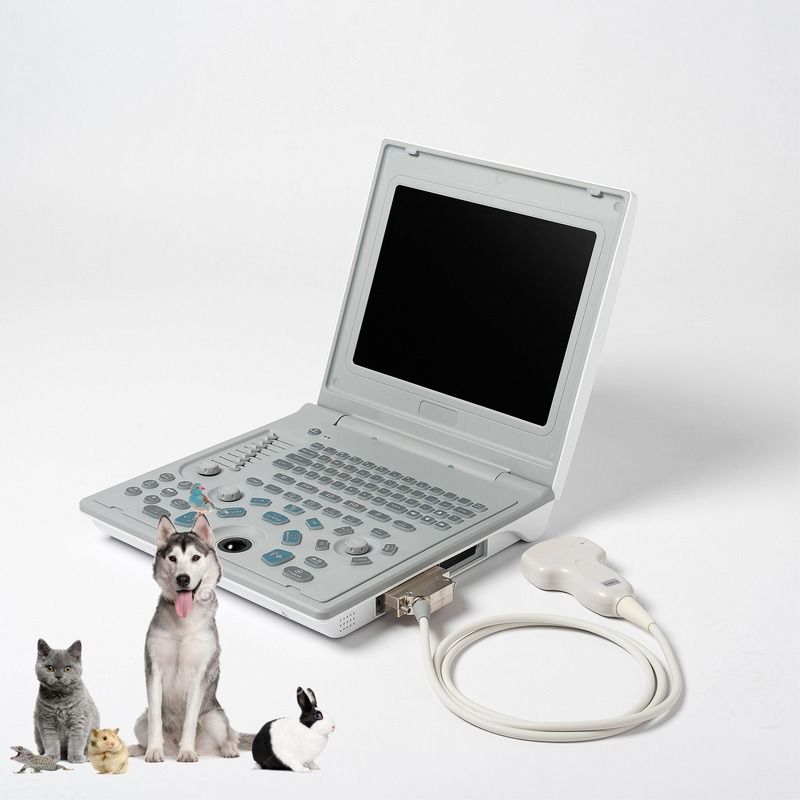 Hospital fora de diagnóstico máquina de ultra-som linear máquina de ultra-som de cão computador portátil escaneador de vacas gravidez de ovelhas