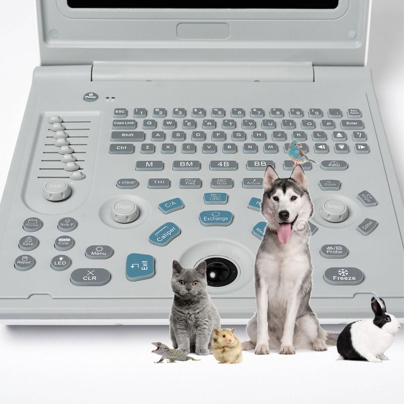 Hospital fora de diagnóstico máquina de ultra-som linear máquina de ultra-som de cão computador portátil escaneador de vacas gravidez de ovelhas