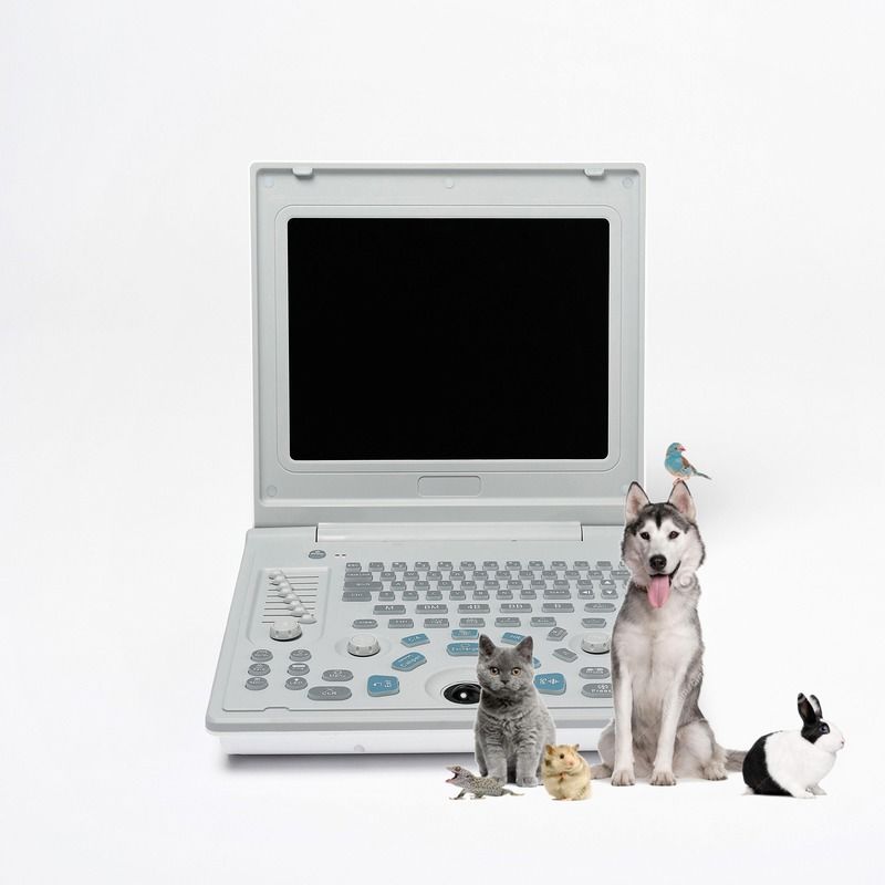Hospital fora de diagnóstico máquina de ultra-som linear máquina de ultra-som de cão computador portátil escaneador de vacas gravidez de ovelhas