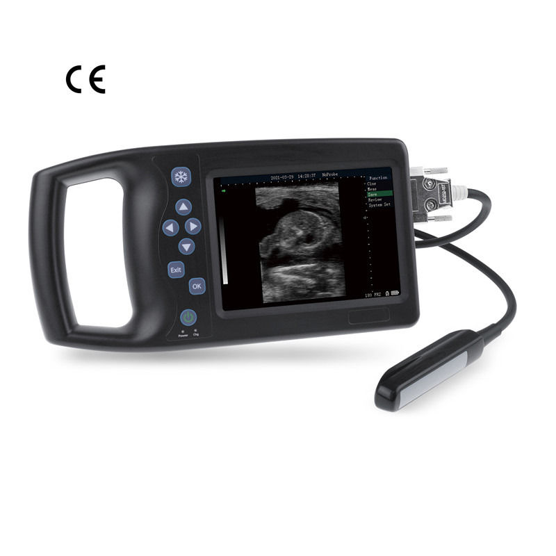 B Veterinária Ultrassonografia Ovelhas Cão Cavalo Porcos portáteis Assustar Gravidez Animais Dispositivo móvel Máquina de ultra-som veterinária Scanner