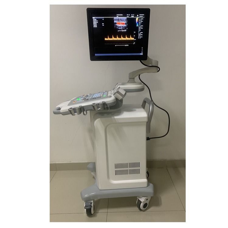 O hospital fora do carrinho 15 polegadas máquina de ultra-som ultra-som digital cor Doppler máquinas de ultra-som édical
